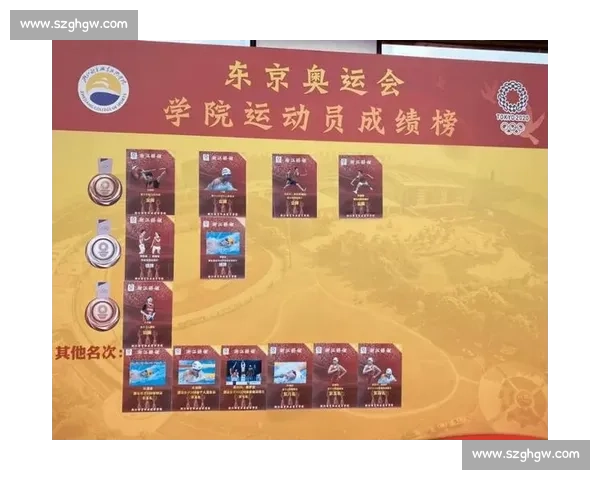 铜牌数量揭示国家竞技水平与体育发展差异分析